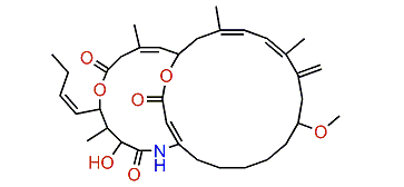 Amphilactam A